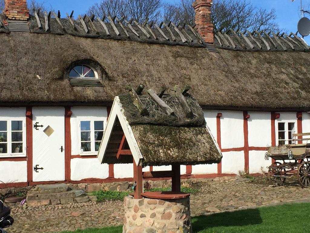 Bed and Breakfast Arilds Vingard Exterior foto